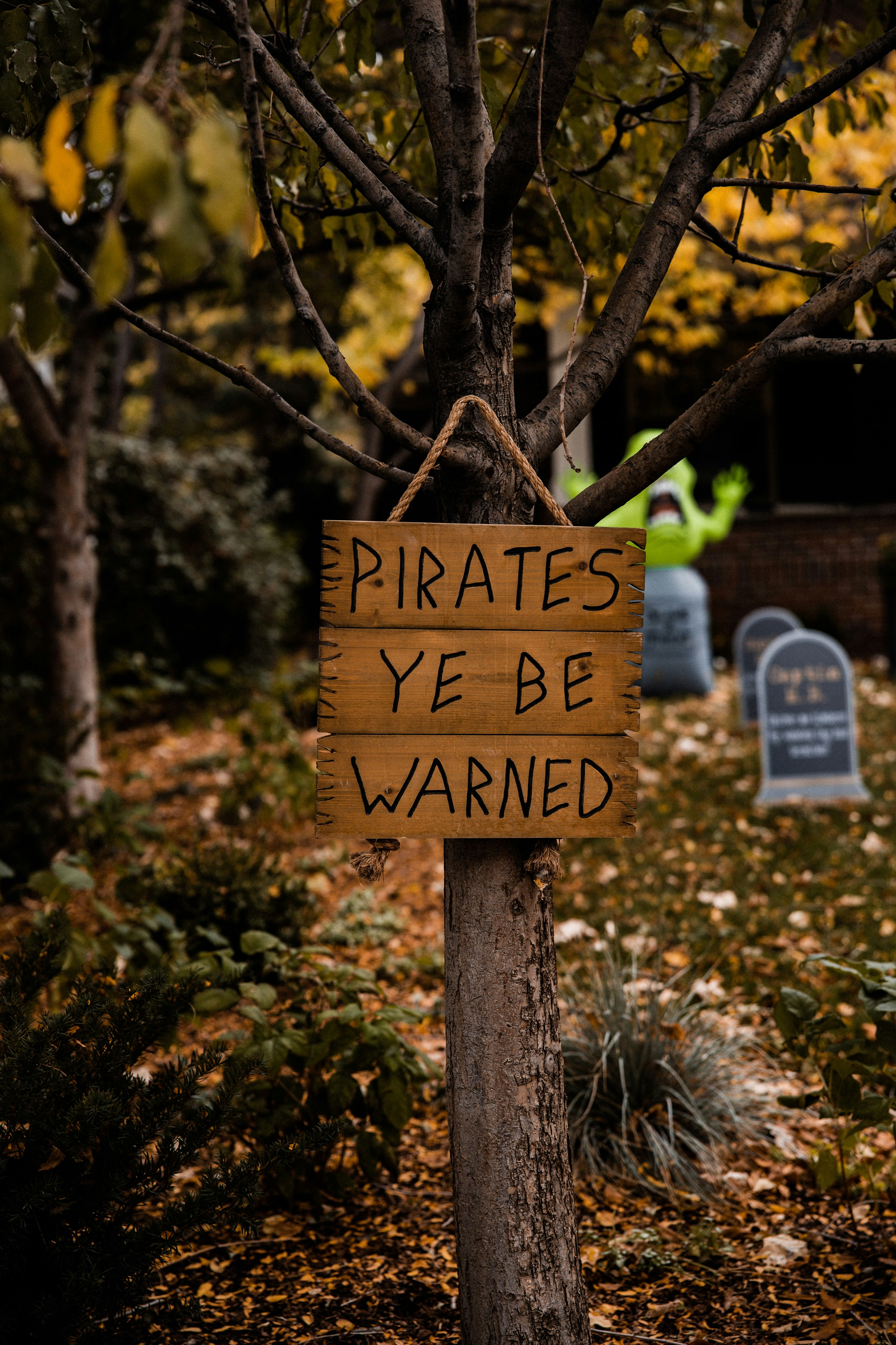 brown wooden signage on tree